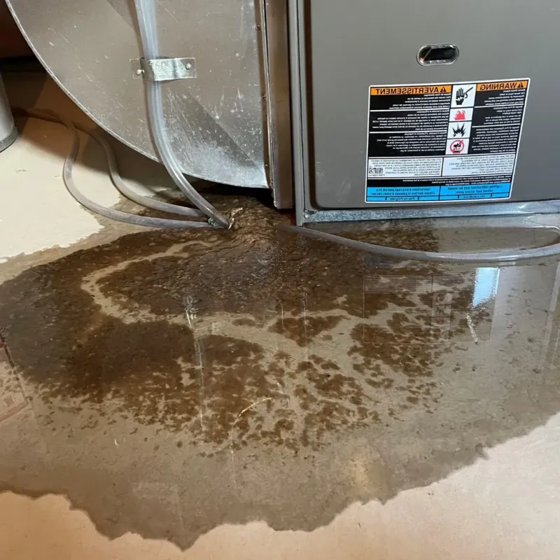 Pipe Burst and Leak Restoration in Everett, MA